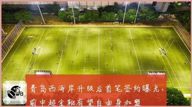 青岛西海岸升级后首笔签约曝光,前中超金靴有望自由身加盟