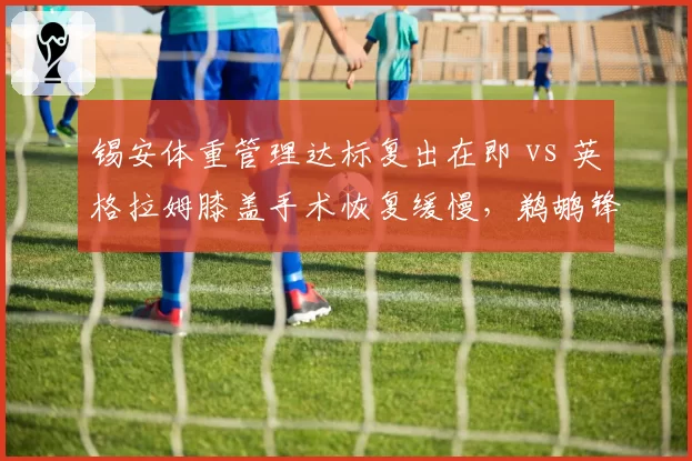 锡安体重管理达标复出在即 vs 英格拉姆膝盖手术恢复缓慢,鹈鹕锋线双子星康复路径迥异