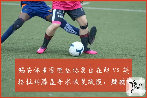 锡安体重管理达标复出在即 vs 英格拉姆膝盖手术恢复缓慢,鹈鹕锋线双子星康复路径迥异