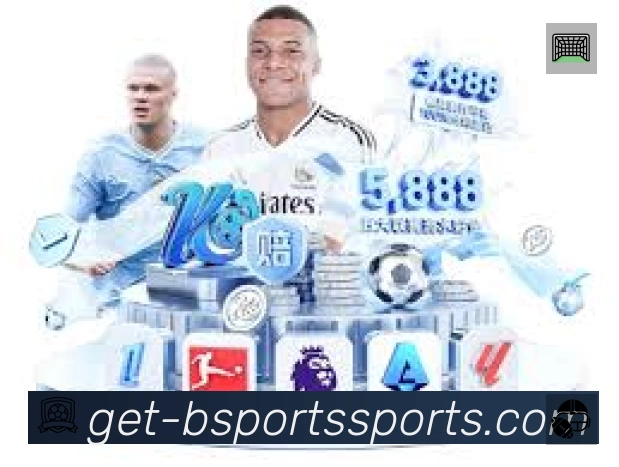 B体育APP 封面图